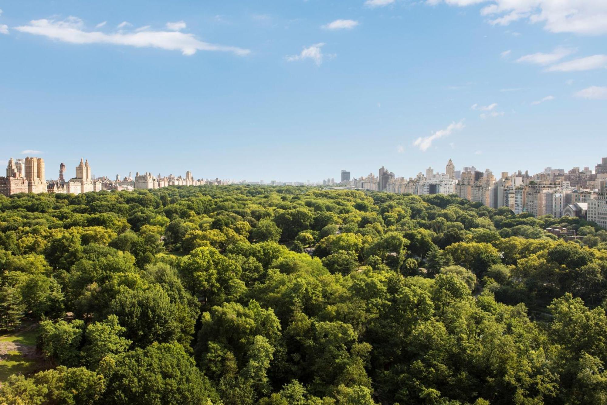 The Ritz-Carlton New York, Central Park Zewnętrze zdjęcie
